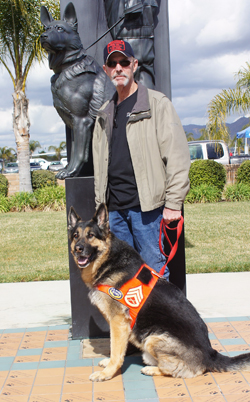 Condor, a retired military war dog